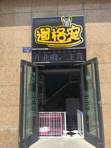 道格宠