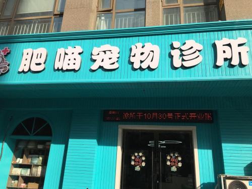 肥喵宠物诊所
