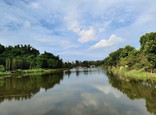 卧龙湖湿地公园