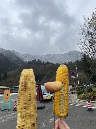 西岭雪山景区-后山