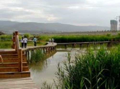 银滩湿地公园