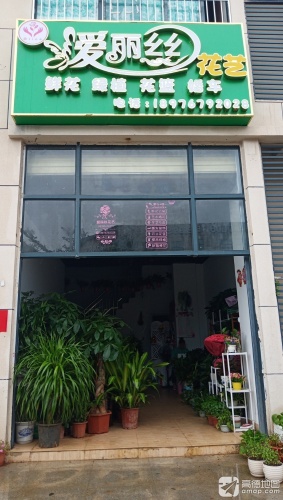 爱丽丝花艺(山海黎巷小区店)