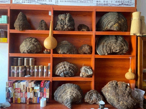 连升商行仙草灵芝农特产品直销店