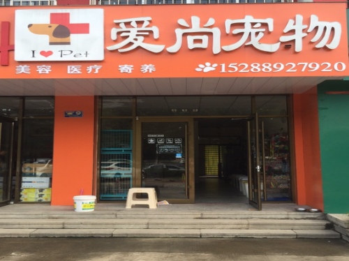 爱尚宠物