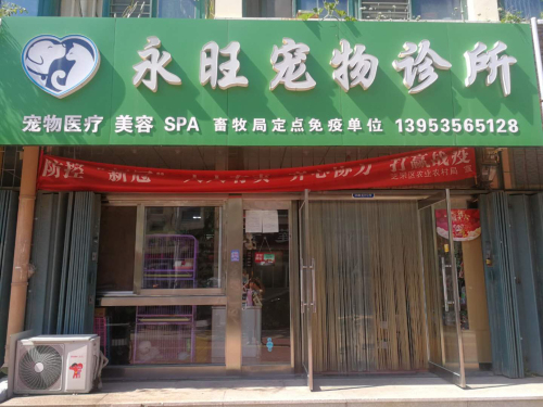 永旺宠物诊所