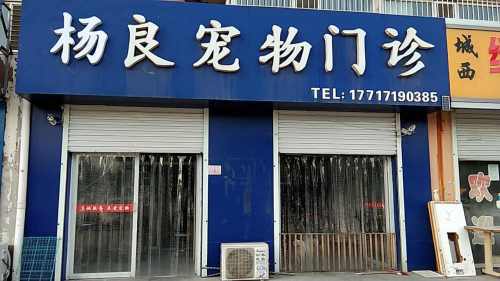 宠物医生