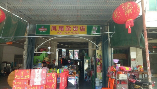 凤尾杂货店