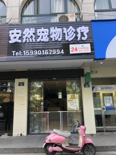 安然宠物诊疗