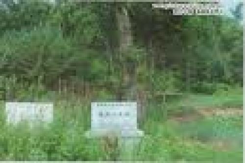 西团山遗址