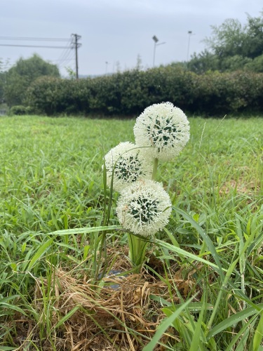 濮塘怪坡