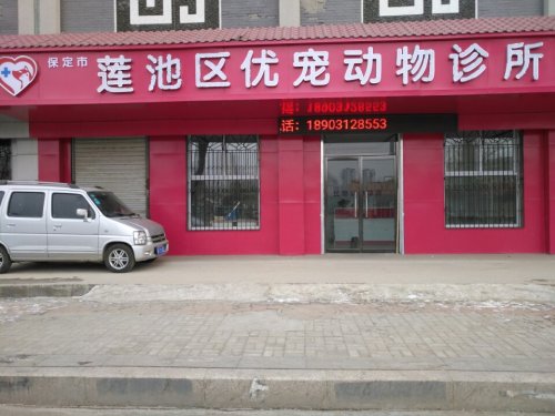 优宠动物诊所