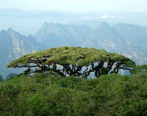 圣堂山景区