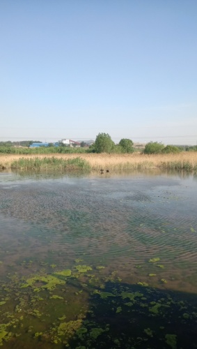 滏阳河国家湿地公园