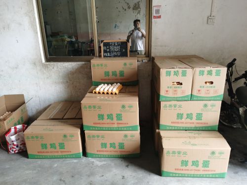 定安定城塔岭综合商行