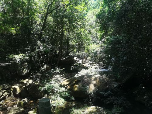 钦州八寨沟景区门楼