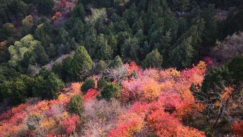 北京市香山公园景区（高德地图）
