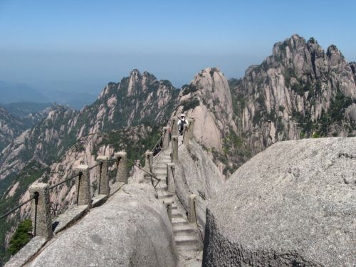 鲫鱼背