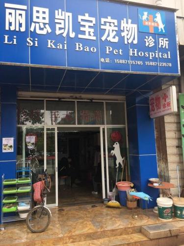 丽思凯宝宠物诊所