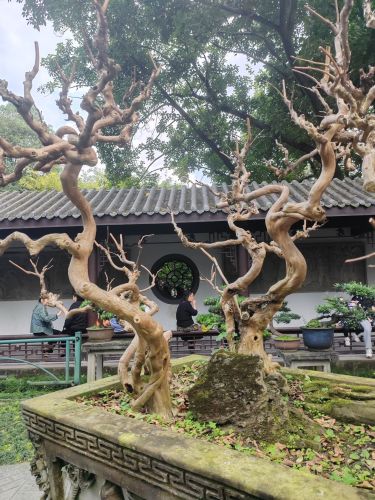 序景区