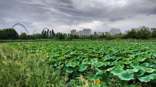 太原市尖草坪区旅行攻略