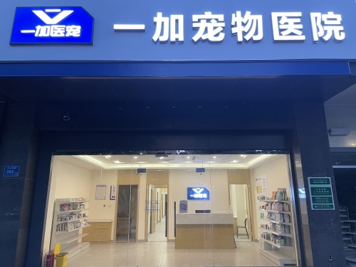 一加宠物医院(中山南路分院)