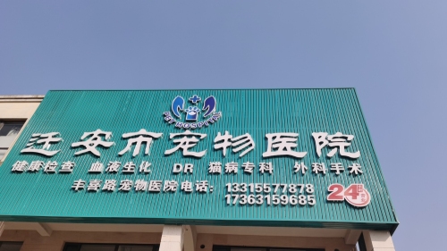 迁安市宠物医院