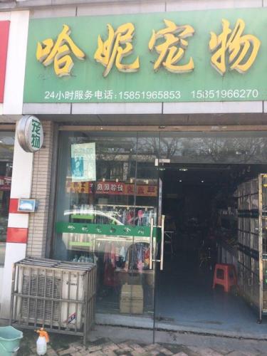 哈妮宠物