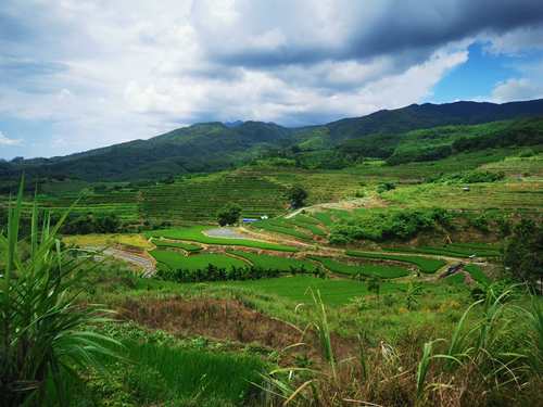 牙胡梯田景区