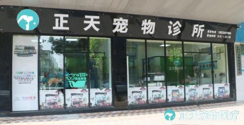 正天宠物诊所