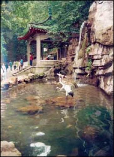 白鹤泉[湖南长沙市岳麓区白鹤泉]
