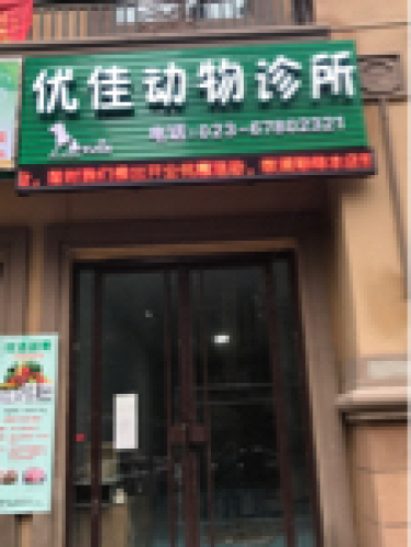 优嘉动物诊所