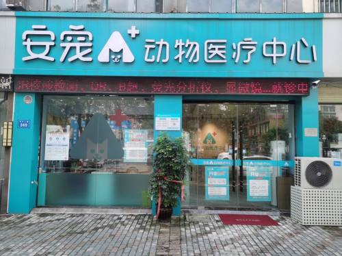 安宠动物医疗中心