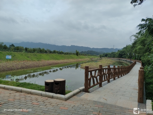 西岸湿地公园