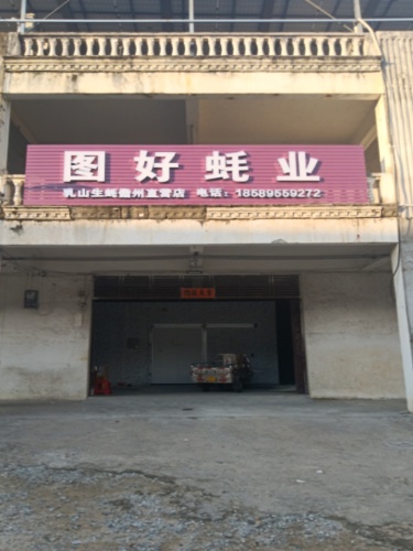 儋州那大图好蚝业(生蚝批发)