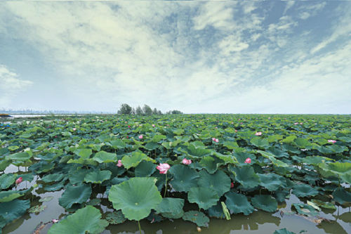 鹤龙湖