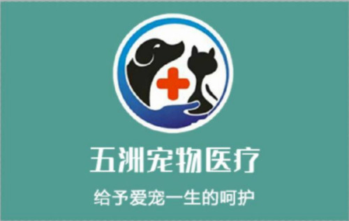五洲宠物医疗