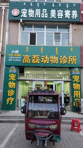 达拉特旗高磊动物诊所
