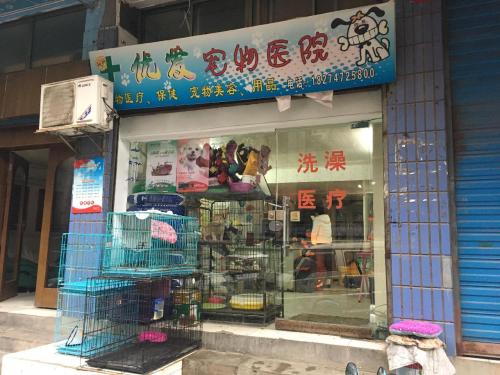 优爱宠物诊疗中心