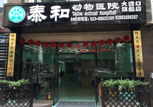 泰和动物医院(大渡口旗舰店)