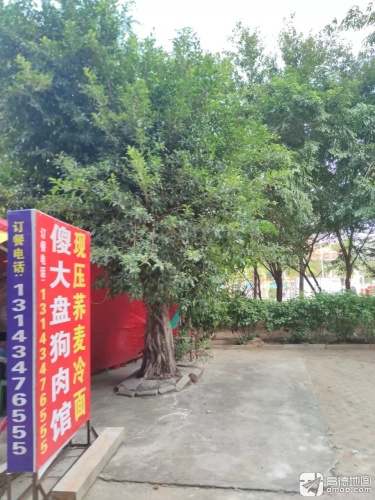 傻大盘狗肉馆(吉报海花盛景店)