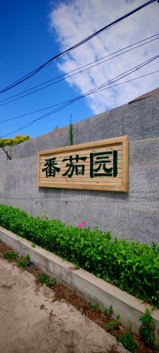 番茄园