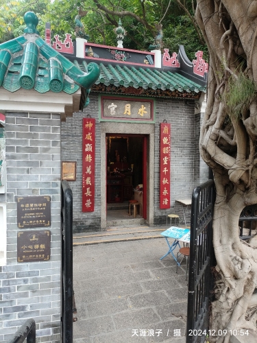 Gallery 1
