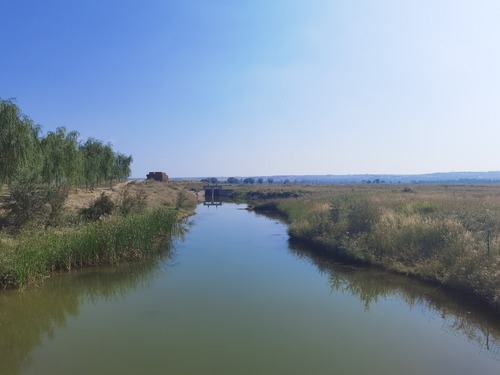 黄河湿地公园