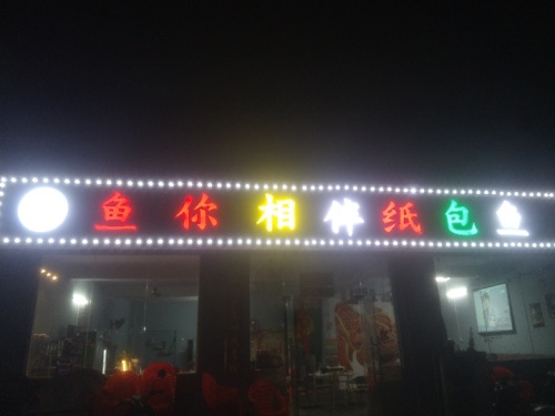 鱼你相伴纸包鱼