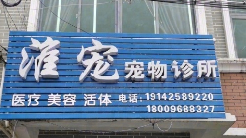 淮宠宠物诊所