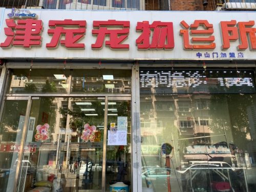 津宠宠物医院(中山门店)