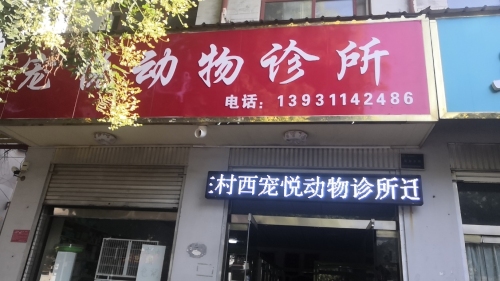 赵县宠悦动物诊所