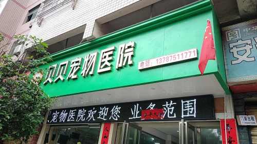 贝贝宠物医院