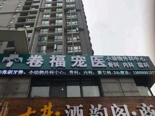 卷福宠医