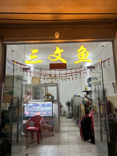 新星三文鱼